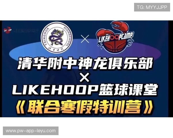 2026年篮球联赛青训教材电子版发布下载量创新高，中国青少年篮球训练教学视频