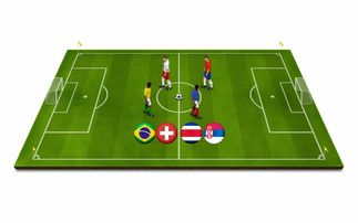 乐鱼体育在线网站-青少年体育运动安全保障体系研究，推动青少年体育事业蓬勃发展的文件